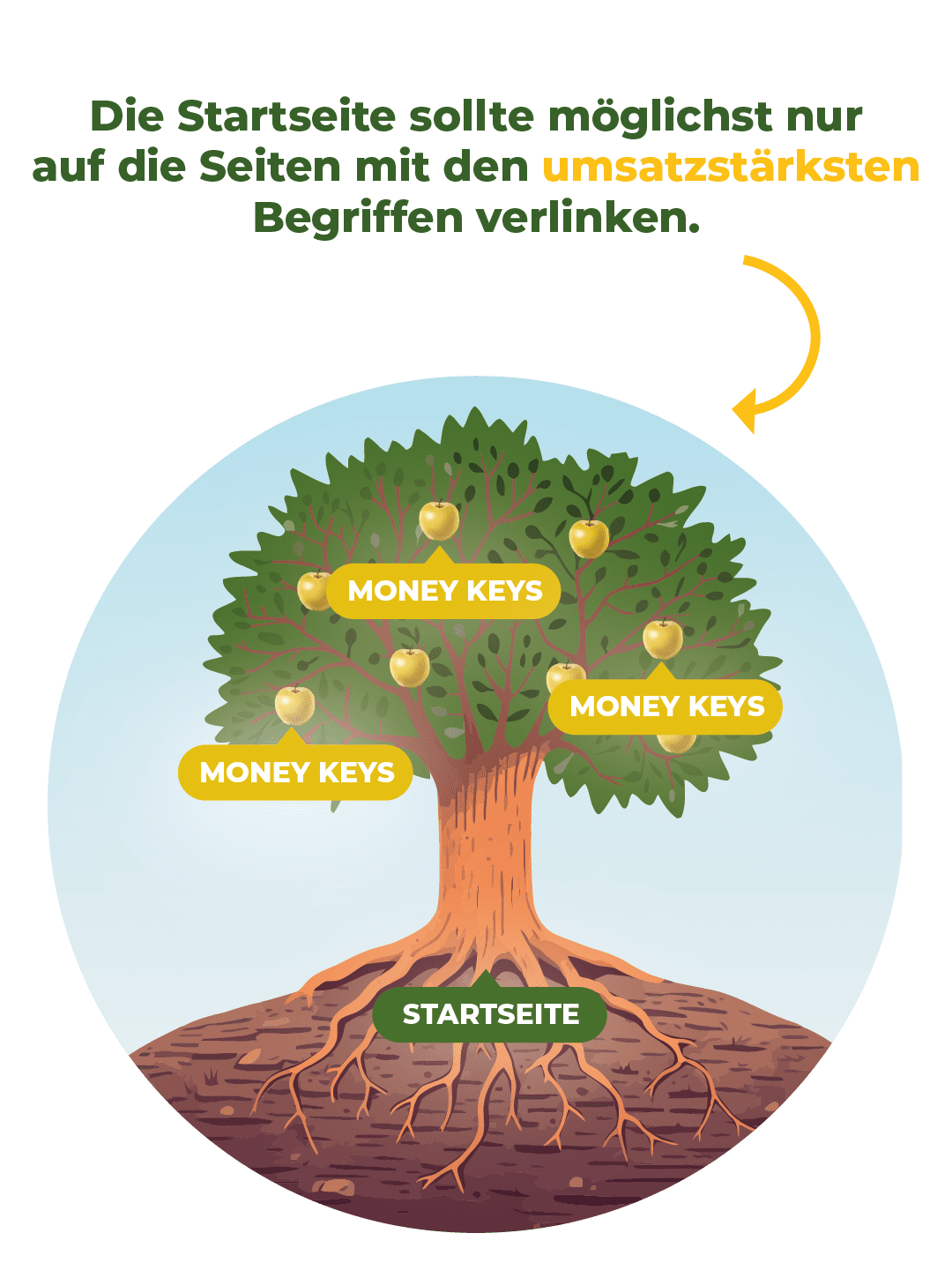 SEO Tool und Content Workflow